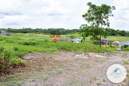 Land for Sale - Scotts Road, Penal