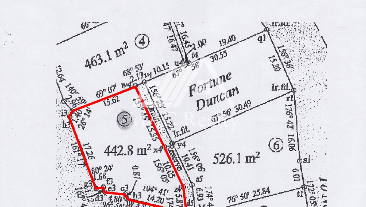 Cadastral - Cedar Hill copy